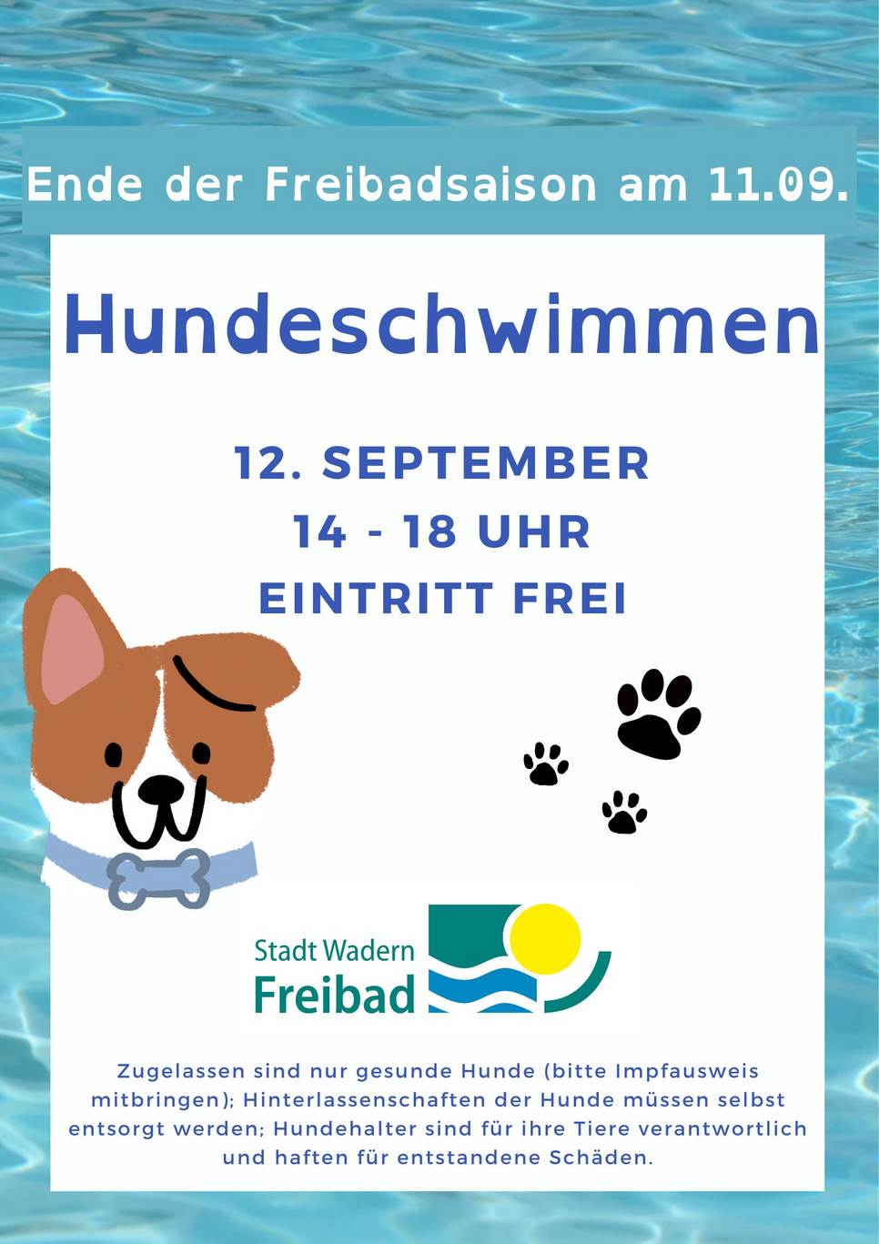 Hundeschwimmen